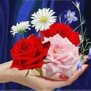 Meet your Posher, Jacqueline